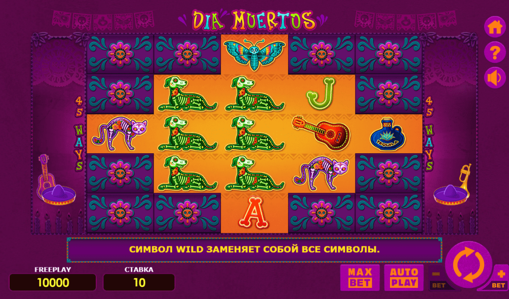 Dia Muertos 